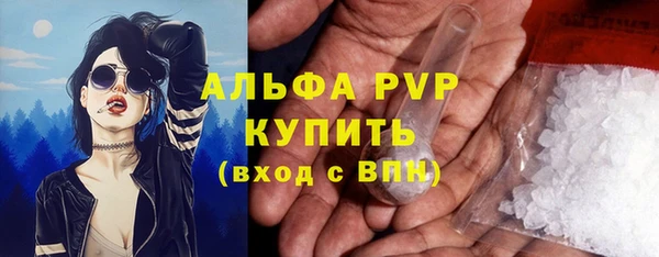 дурь Няндома