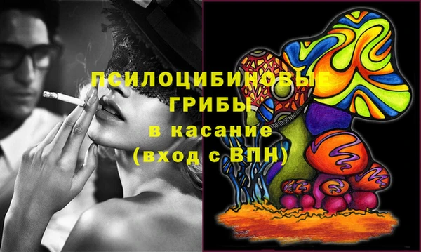 дурь Няндома