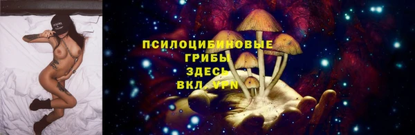 дурь Няндома