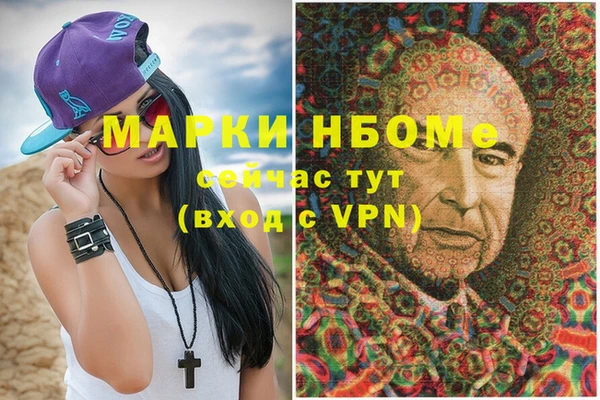дурь Няндома