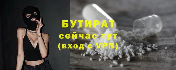 дурь Няндома