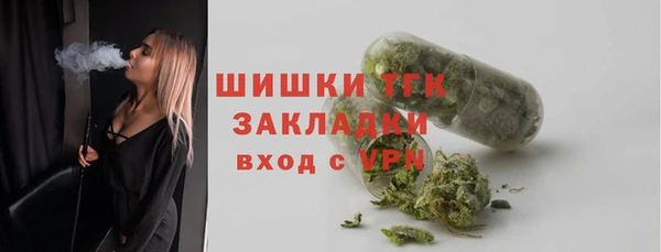 дурь Няндома
