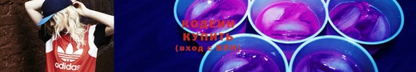 дурь Няндома