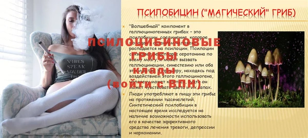 гидропоника Нязепетровск