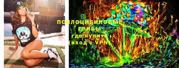 дурь Няндома