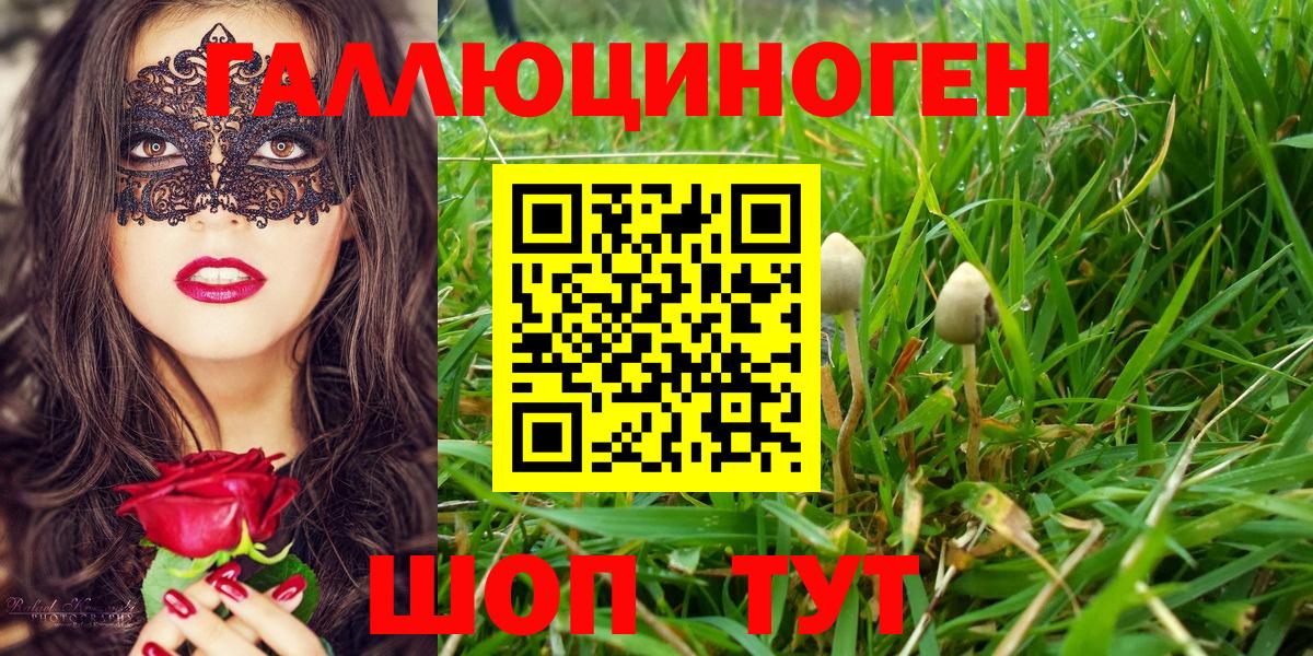 Галлюциногенные грибы мухоморы Петровск