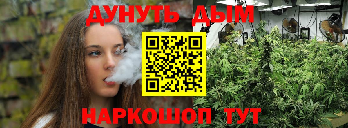 Бошки марихуана конопля  Канабис Bruce Banner  Каннабис Bruce Banner  Петровск  Каннабис Amnesia 